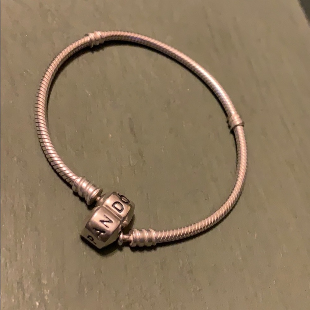 Pandora Charm Bracelet